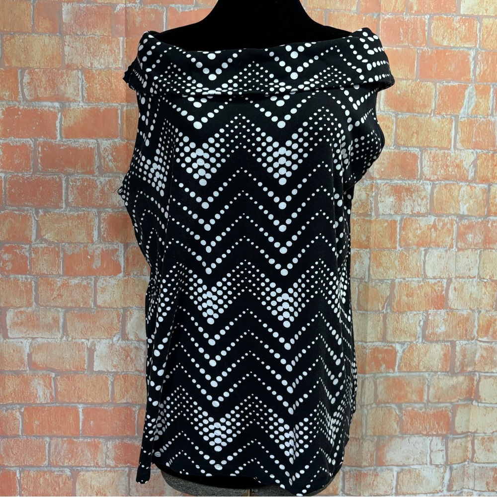Rafaella Chevron Polka Dot Plus Size Bateau Neck Top